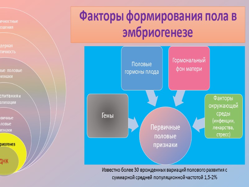 Факторы формирования пола в эмбриогенезе Известно более 30 врожденных вариаций полового развития с суммарной